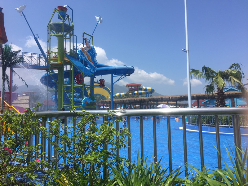 夏日送清涼，海豚灣之旅